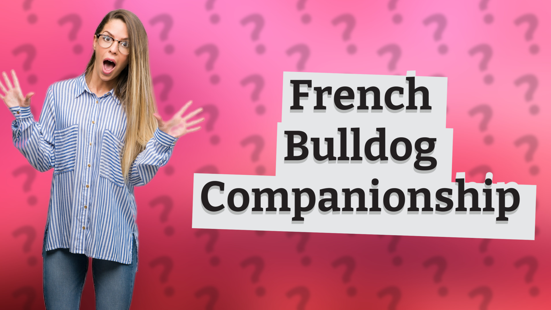 French Bulldog Companionship