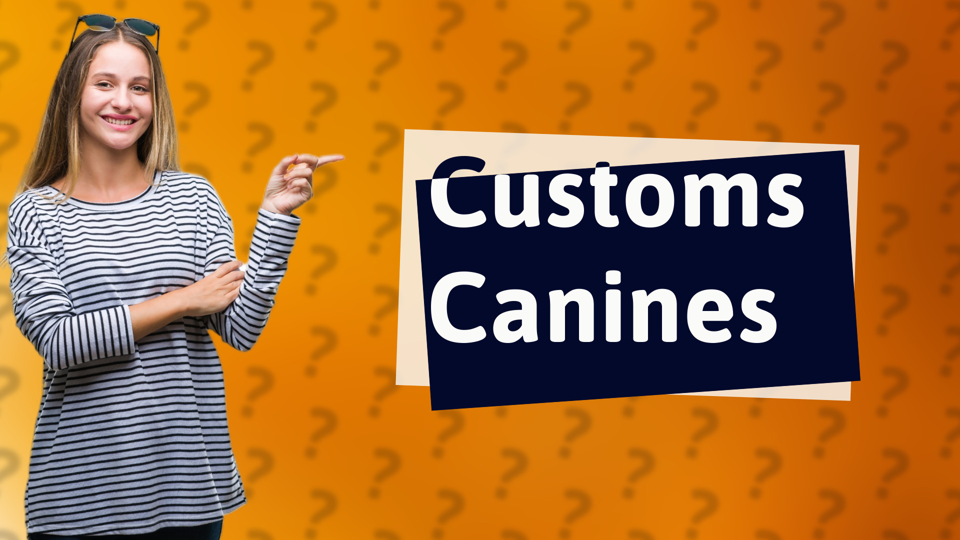 Customs Canines