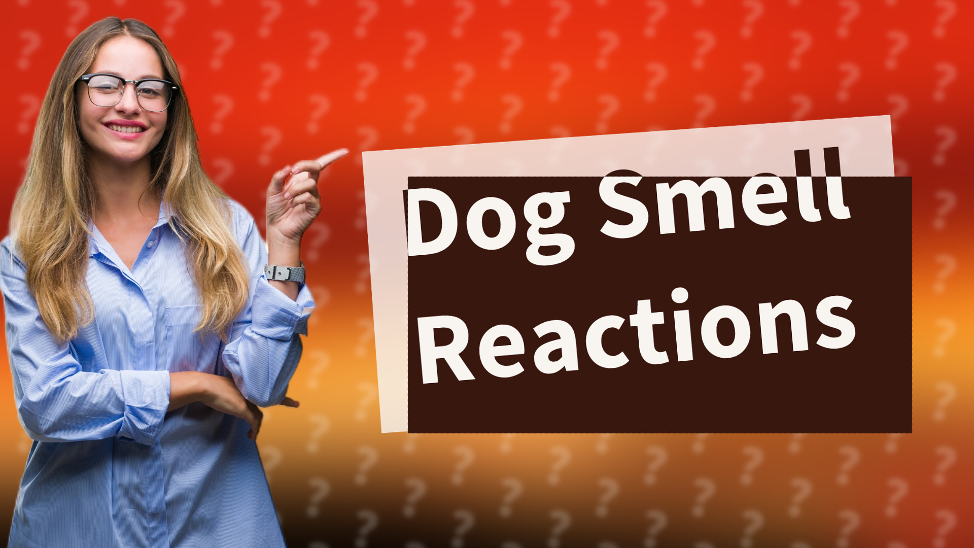 Dog Smell Reactions