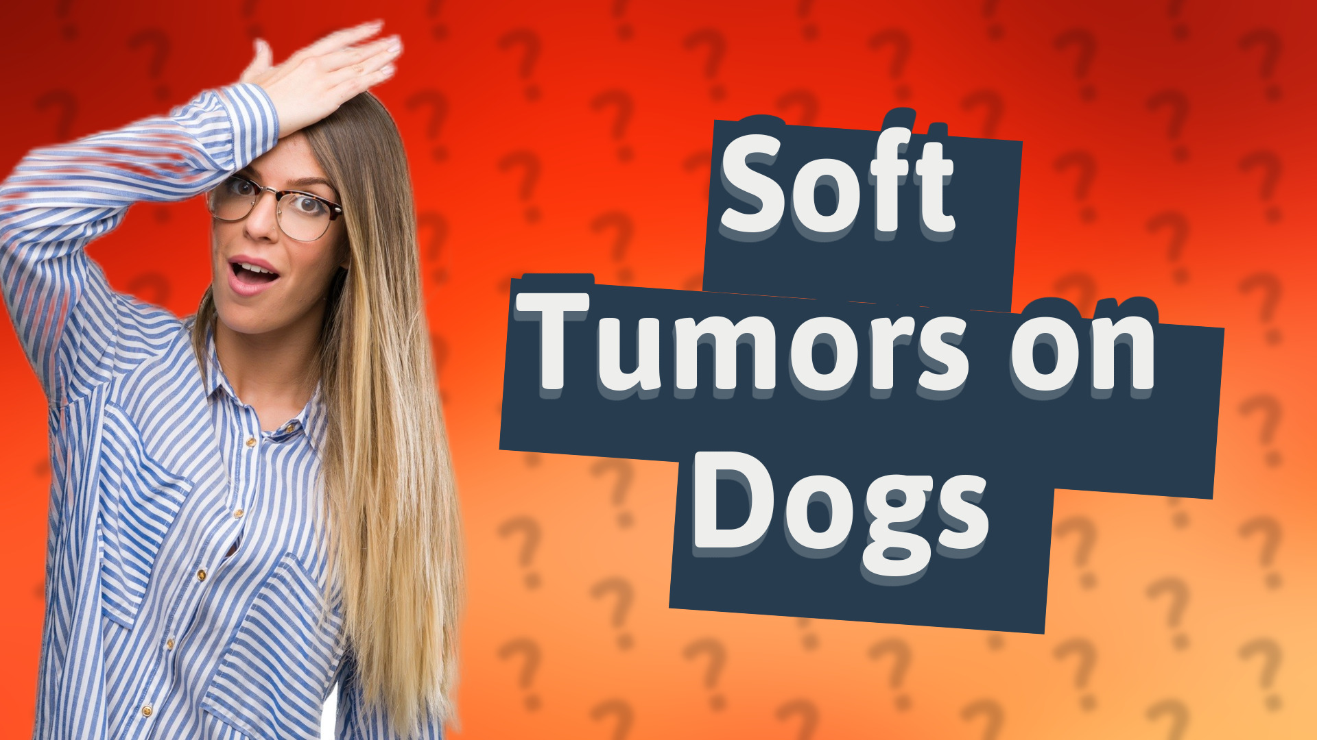 Soft Tumors on Dogs