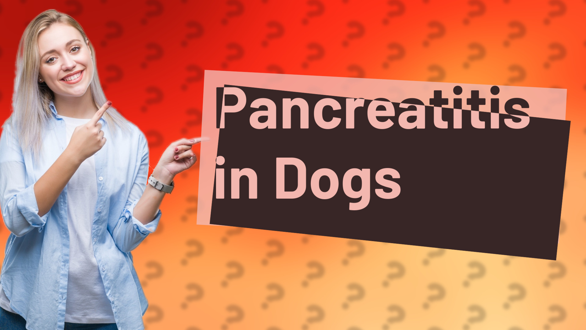 Pancreatitis in Dogs