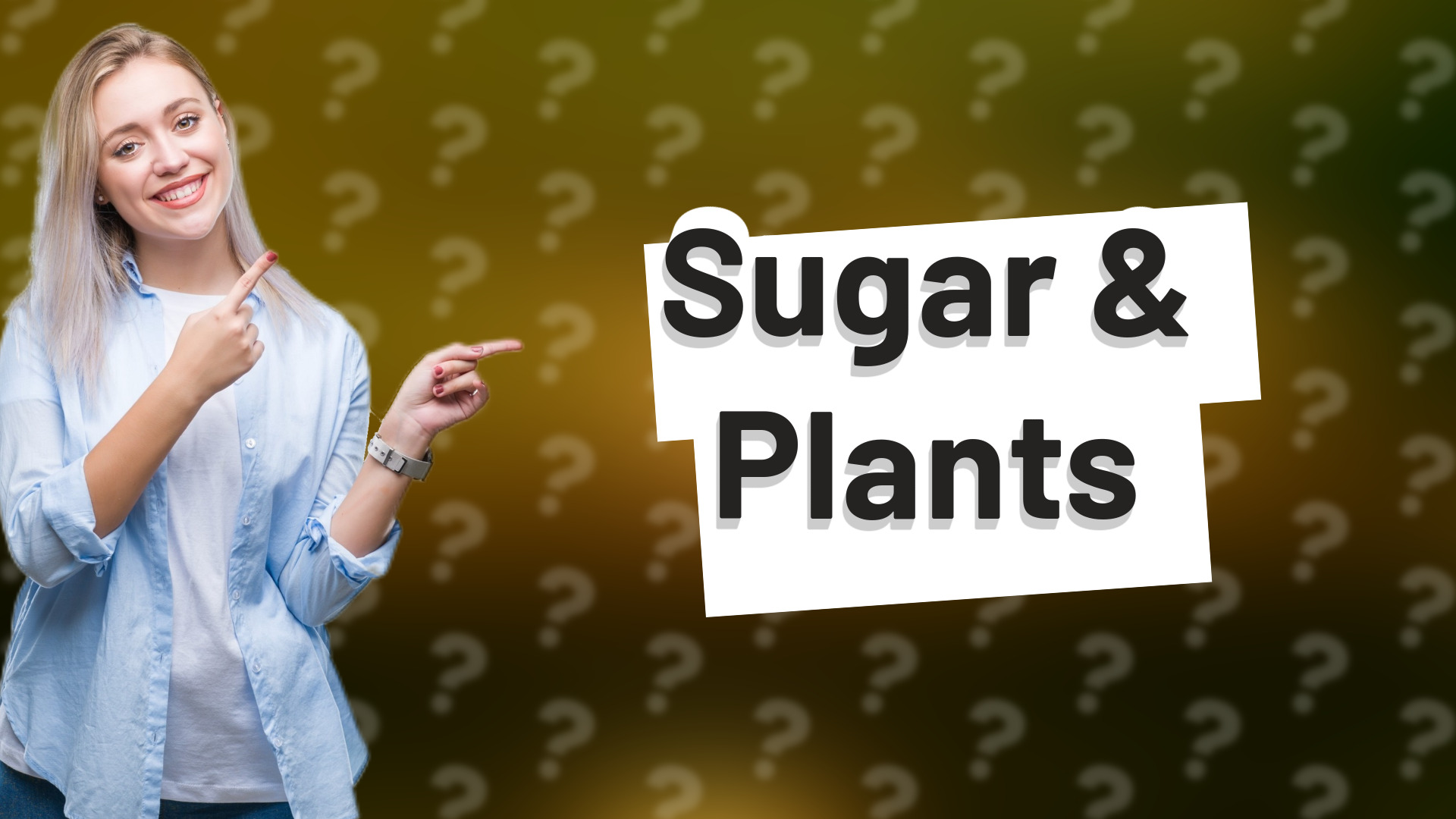 Sugar & Plants