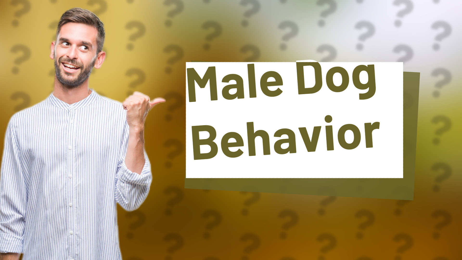 Male Dog Behavior