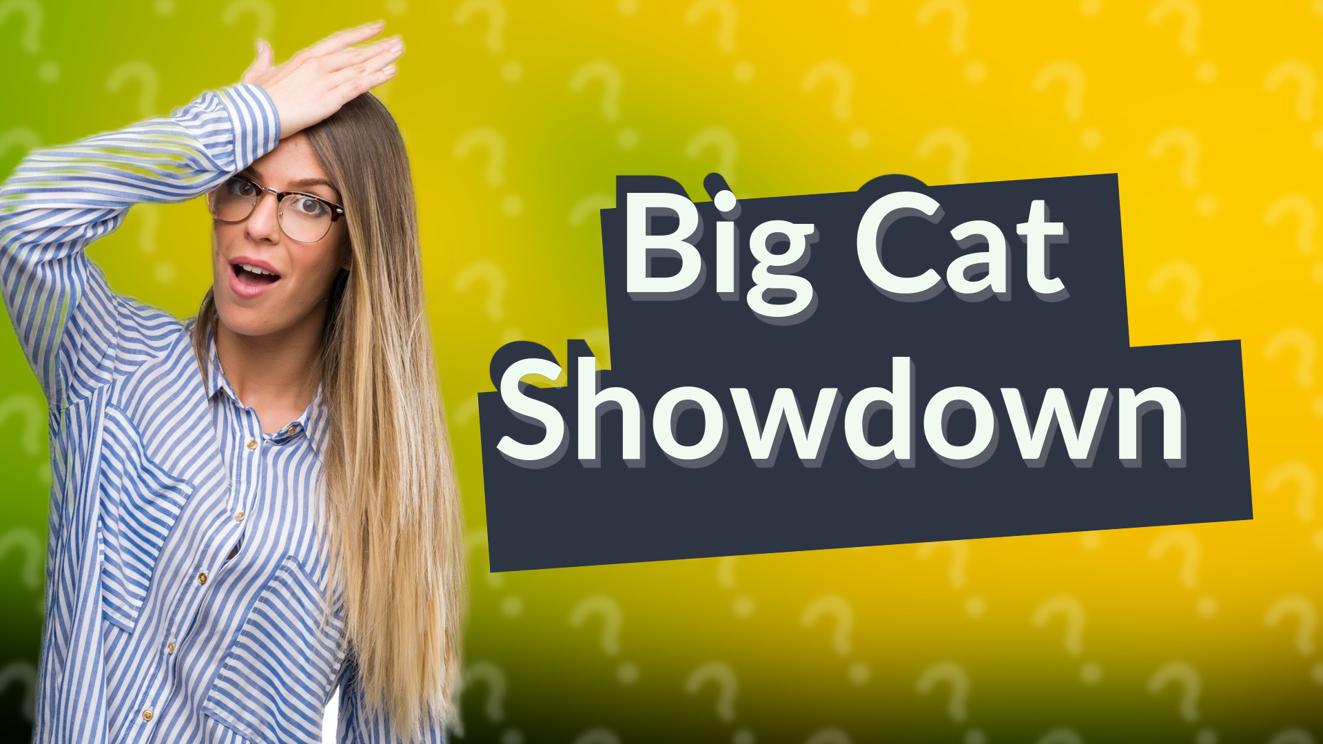 Big Cat Showdown