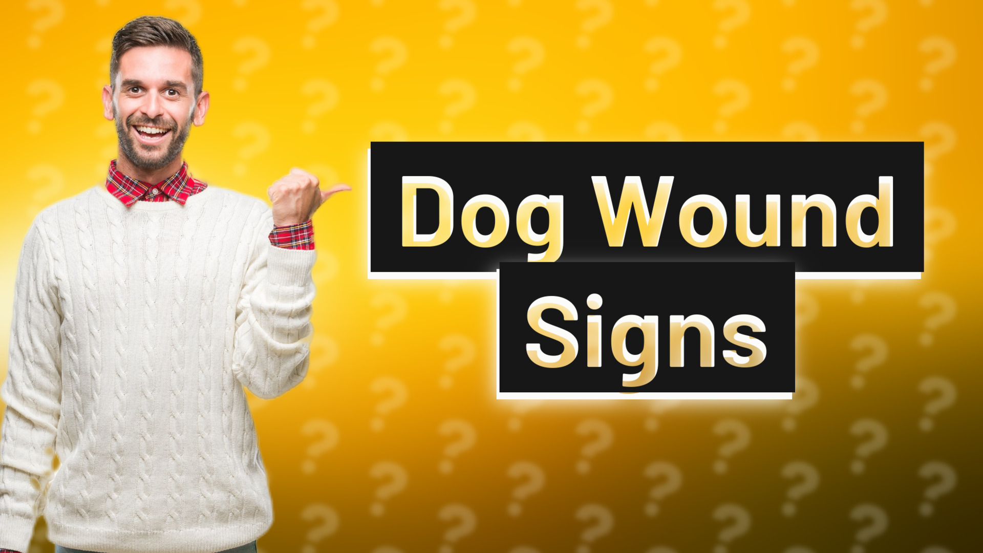 Dog Wound Signs