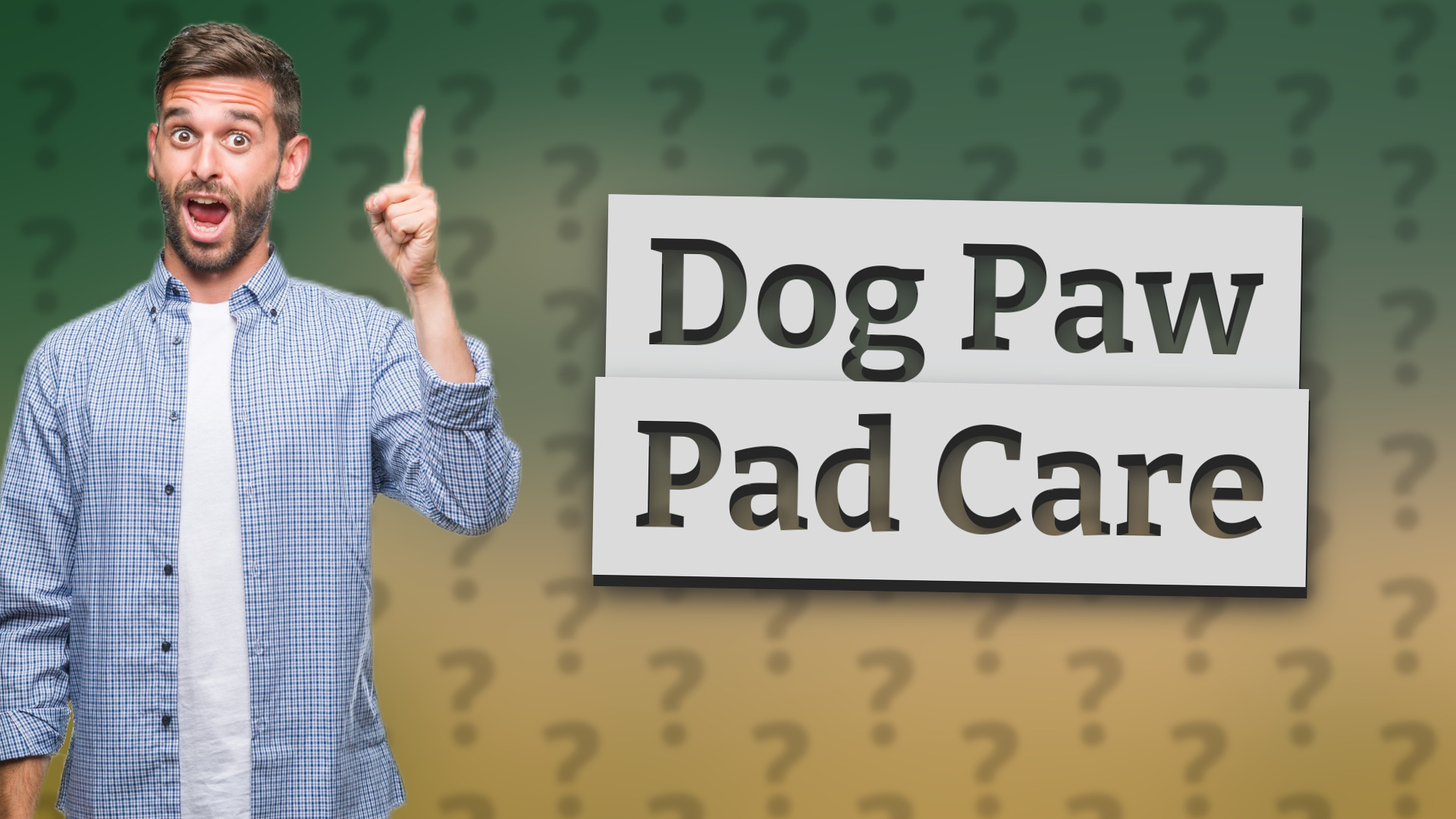 Dog Paw Pad Care