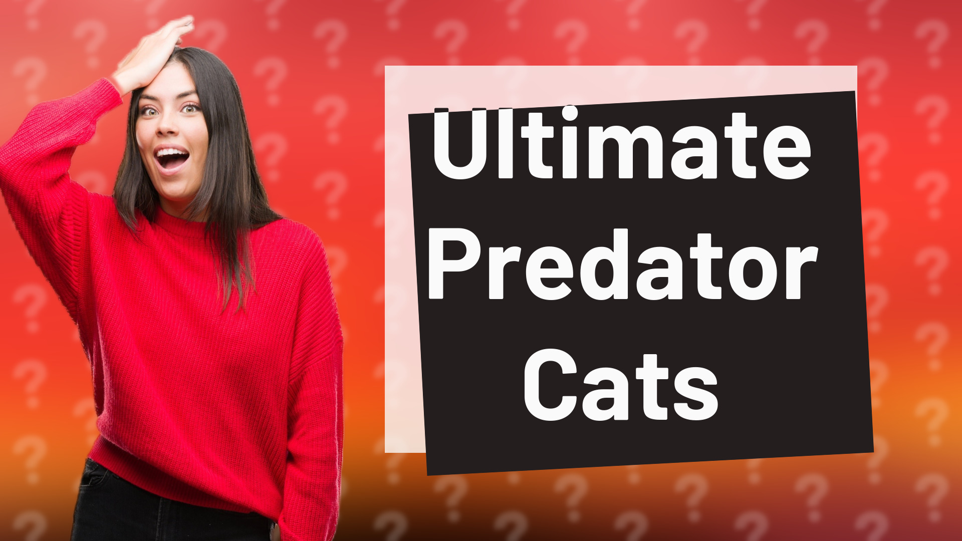 Ultimate Predator Cats