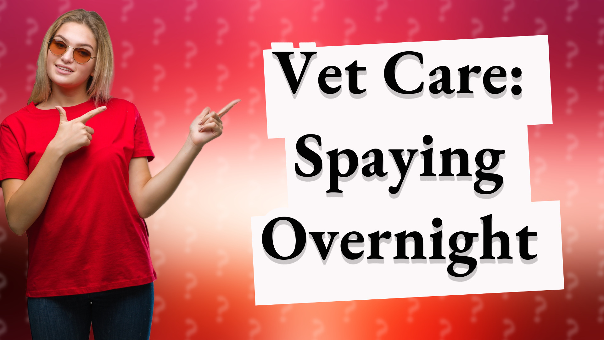 Vet Care: Spaying Overnight