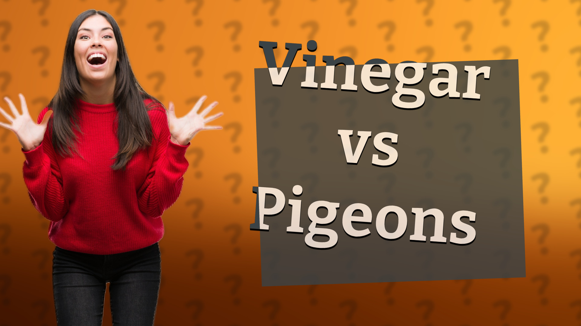 Vinegar vs Pigeons