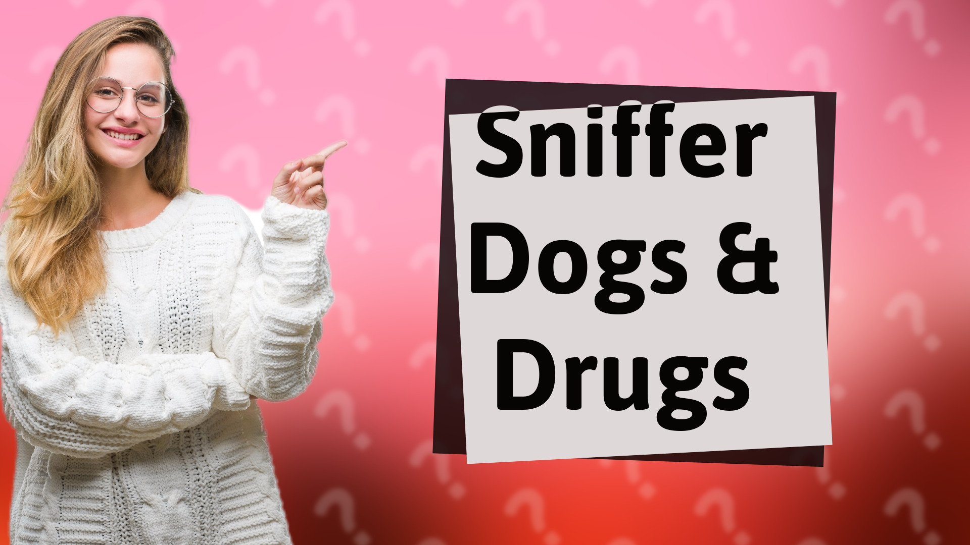 Sniffer Dogs & Drugs