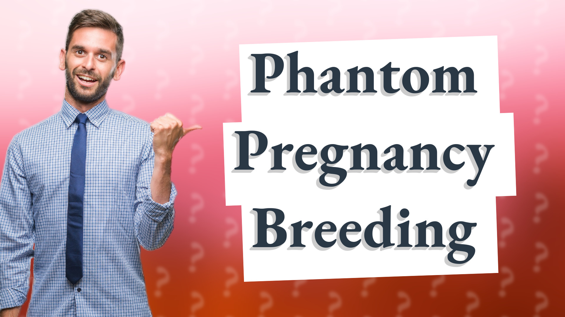 Phantom Pregnancy Breeding