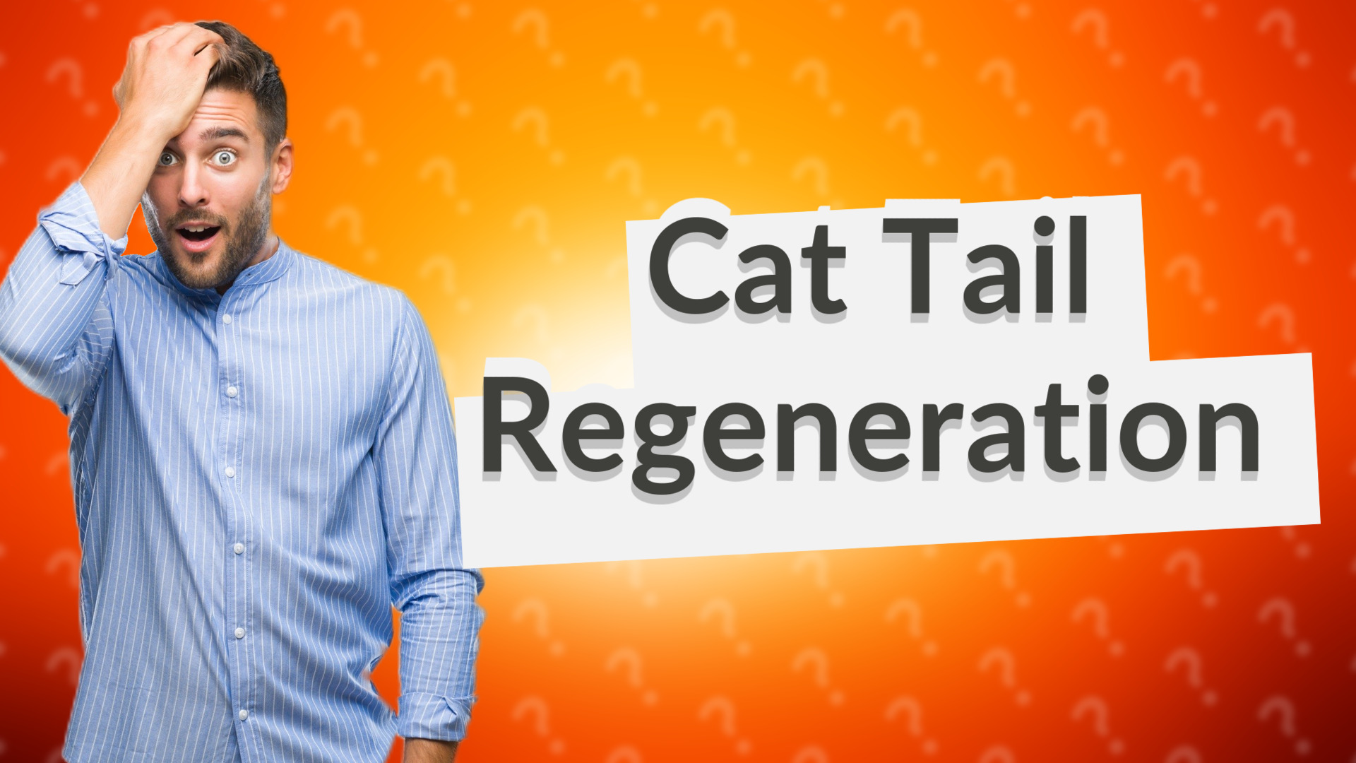 Cat Tail Regeneration