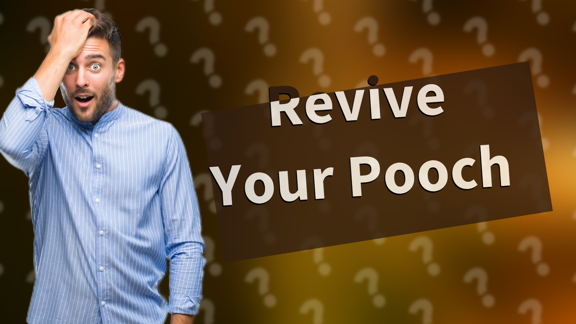 Revive Your Pooch