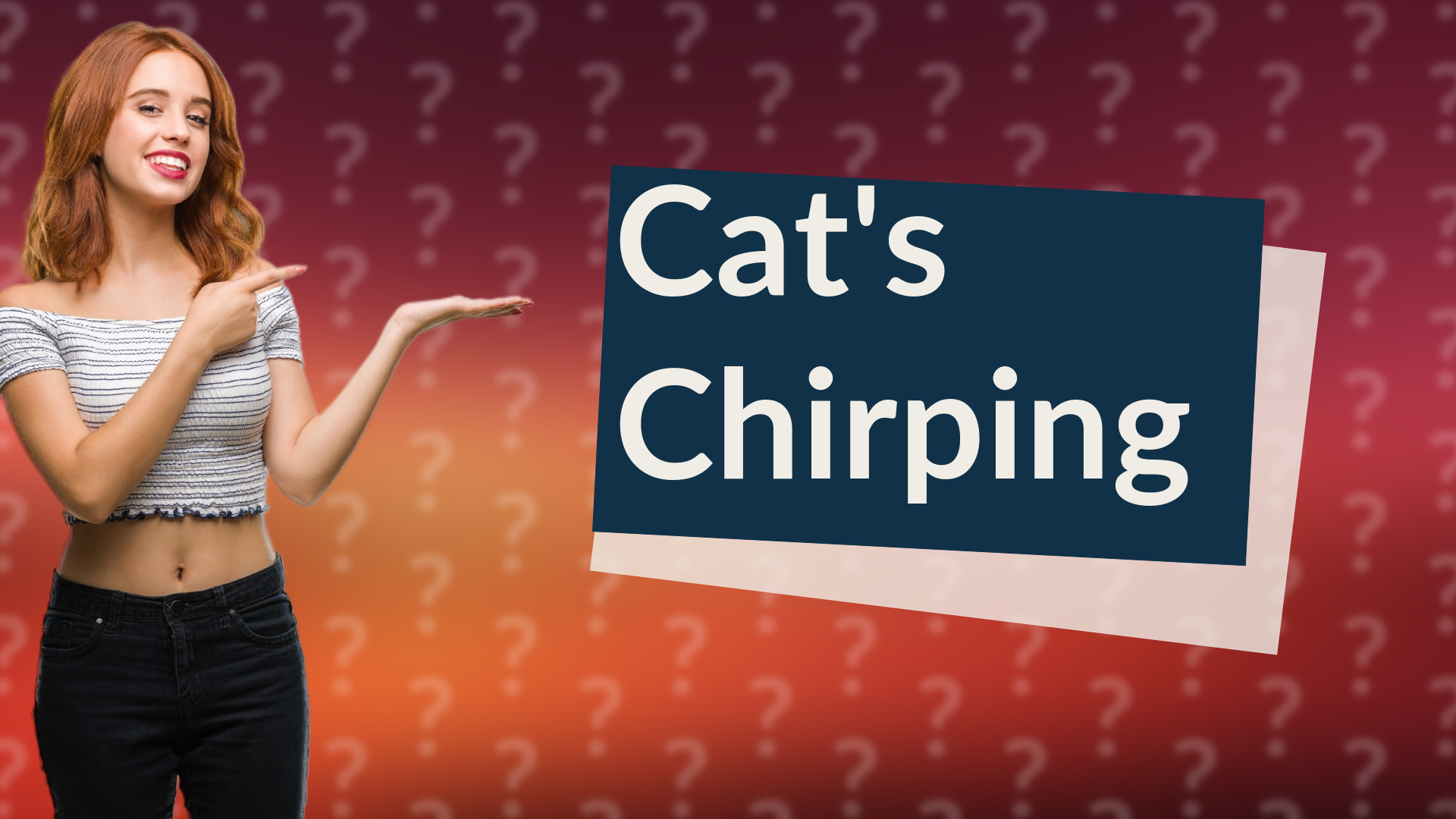 Cat's Chirping
