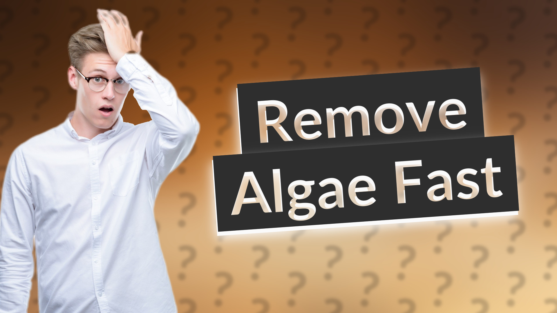 Remove Algae Fast