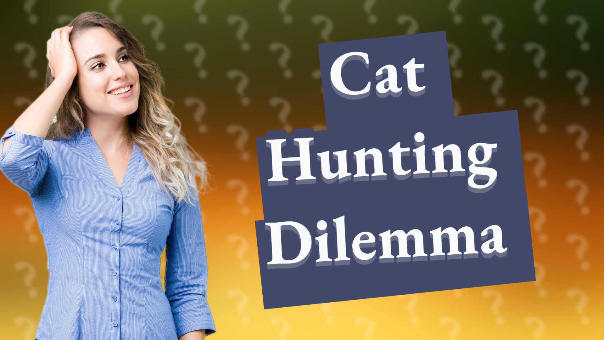 Cat Hunting Dilemma