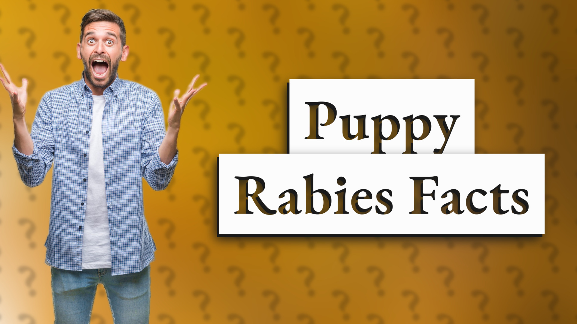 Puppy Rabies Facts