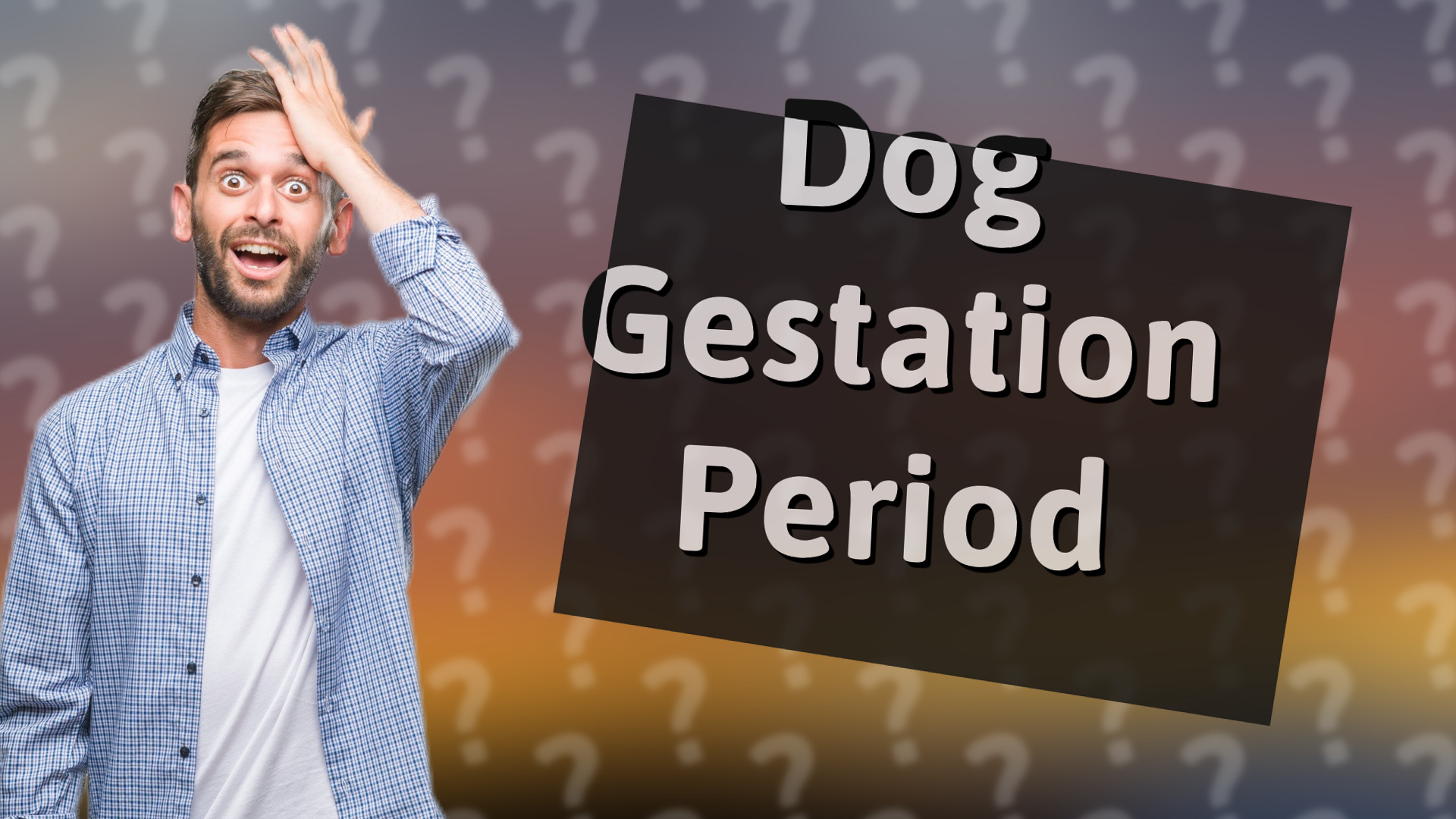 Dog Gestation Period