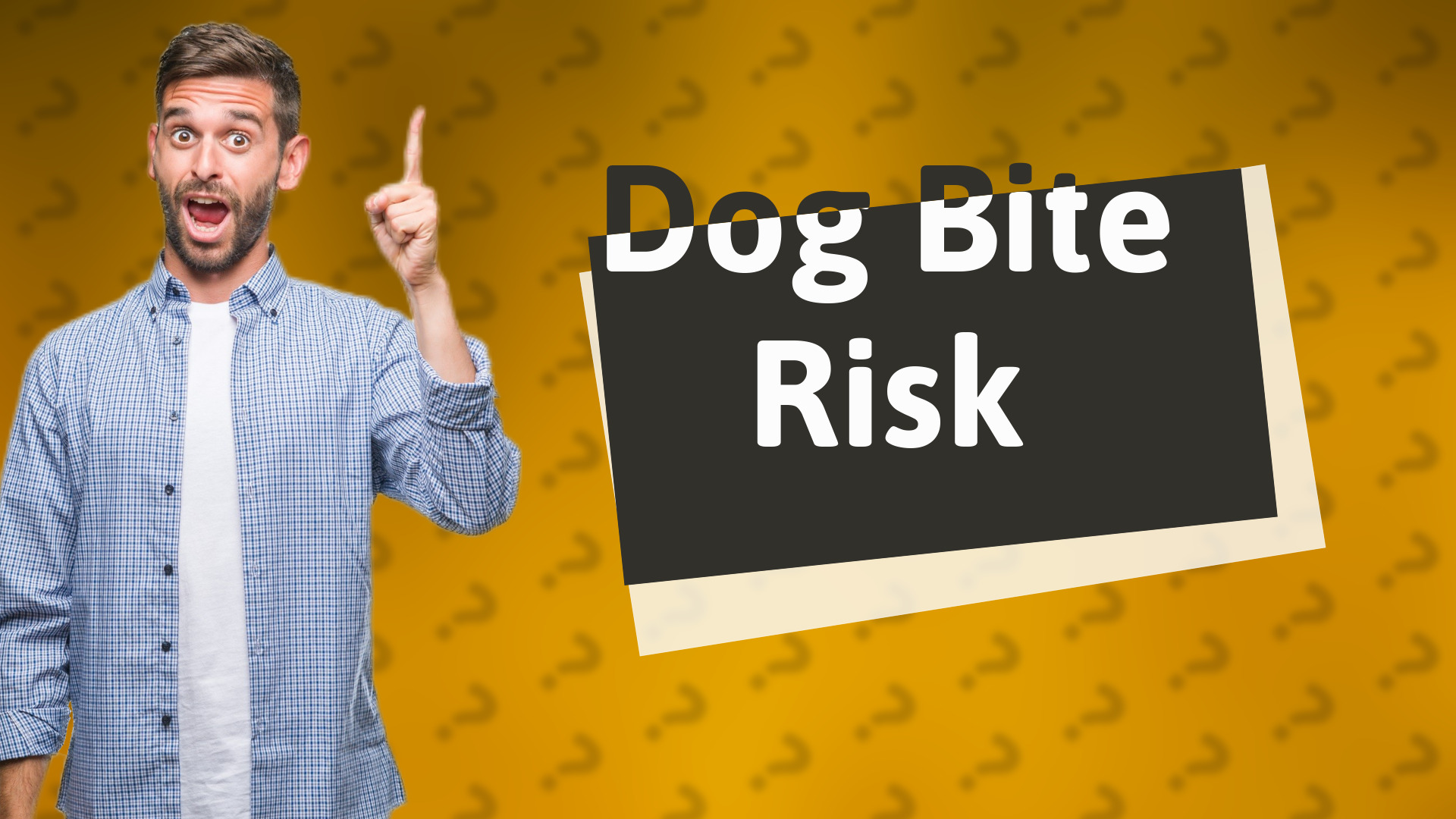 Dog Bite Risk