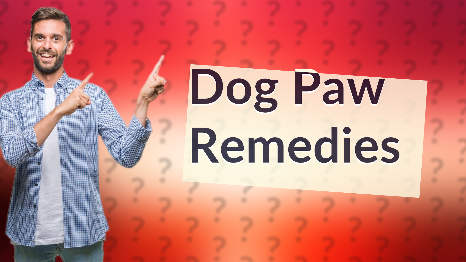 Dog Paw Remedies