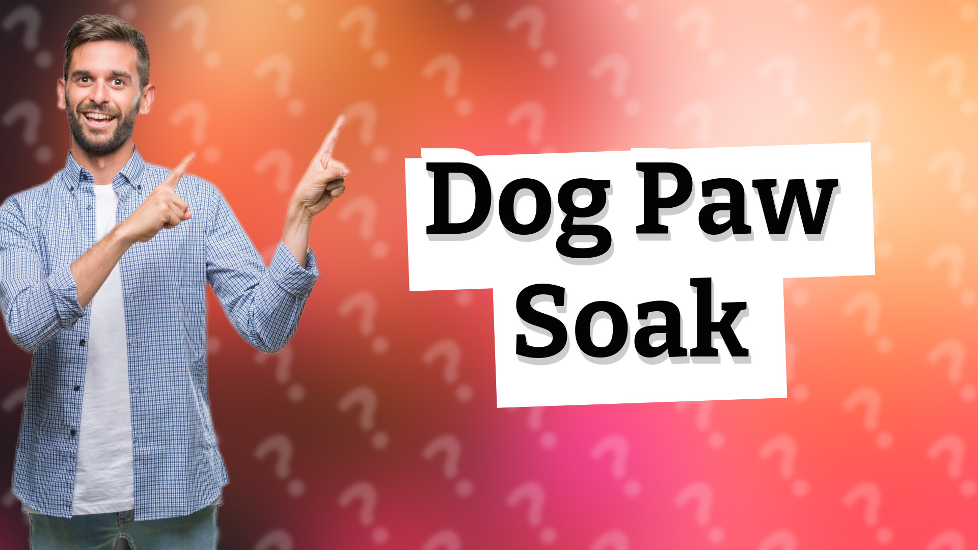 Dog Paw Soak