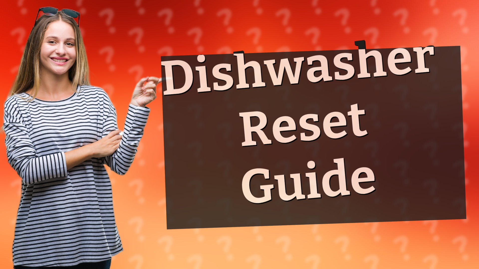 Dishwasher Reset Guide