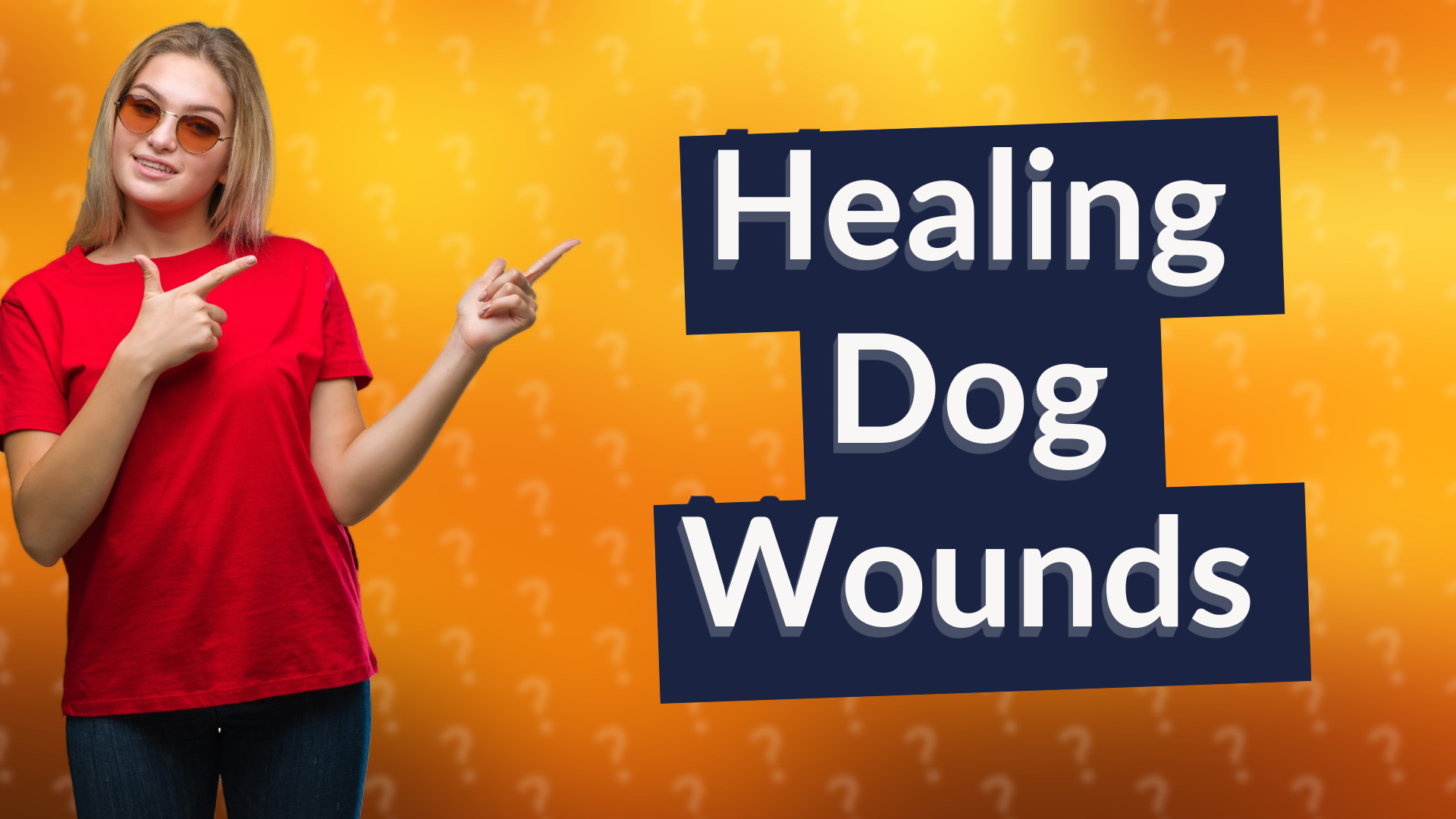 Healing Dog Wounds