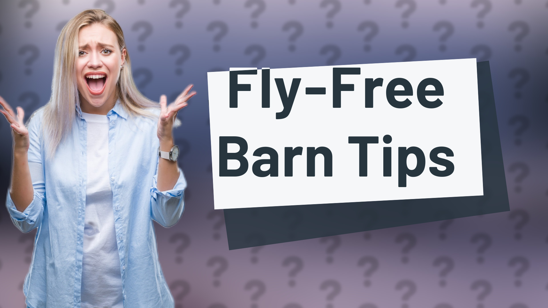 Fly-Free Barn Tips