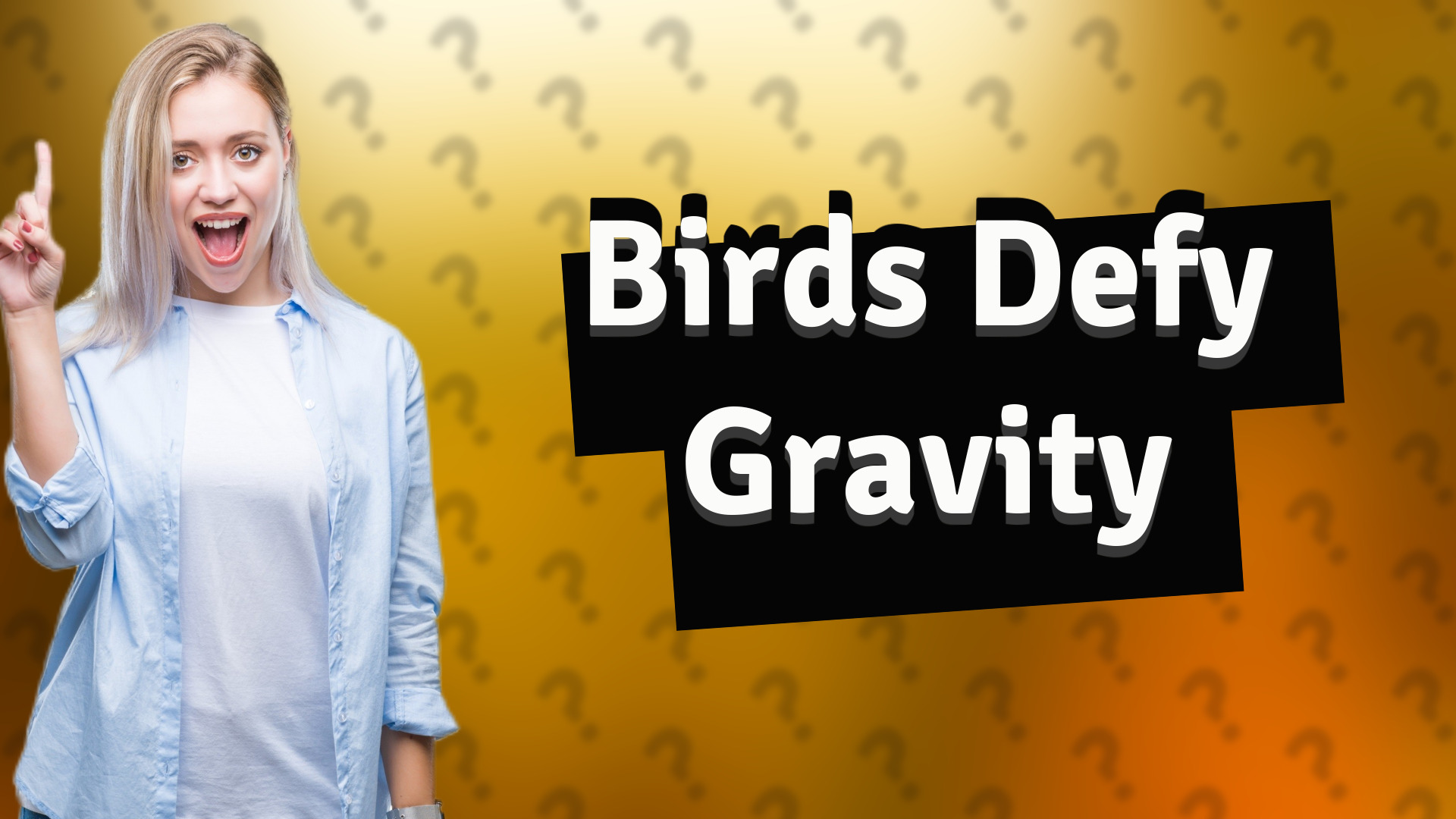 Birds Defy Gravity