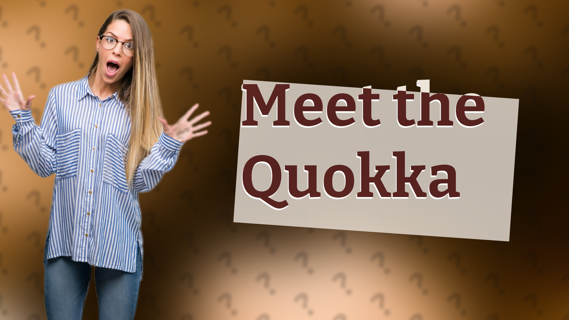 Meet the Quokka