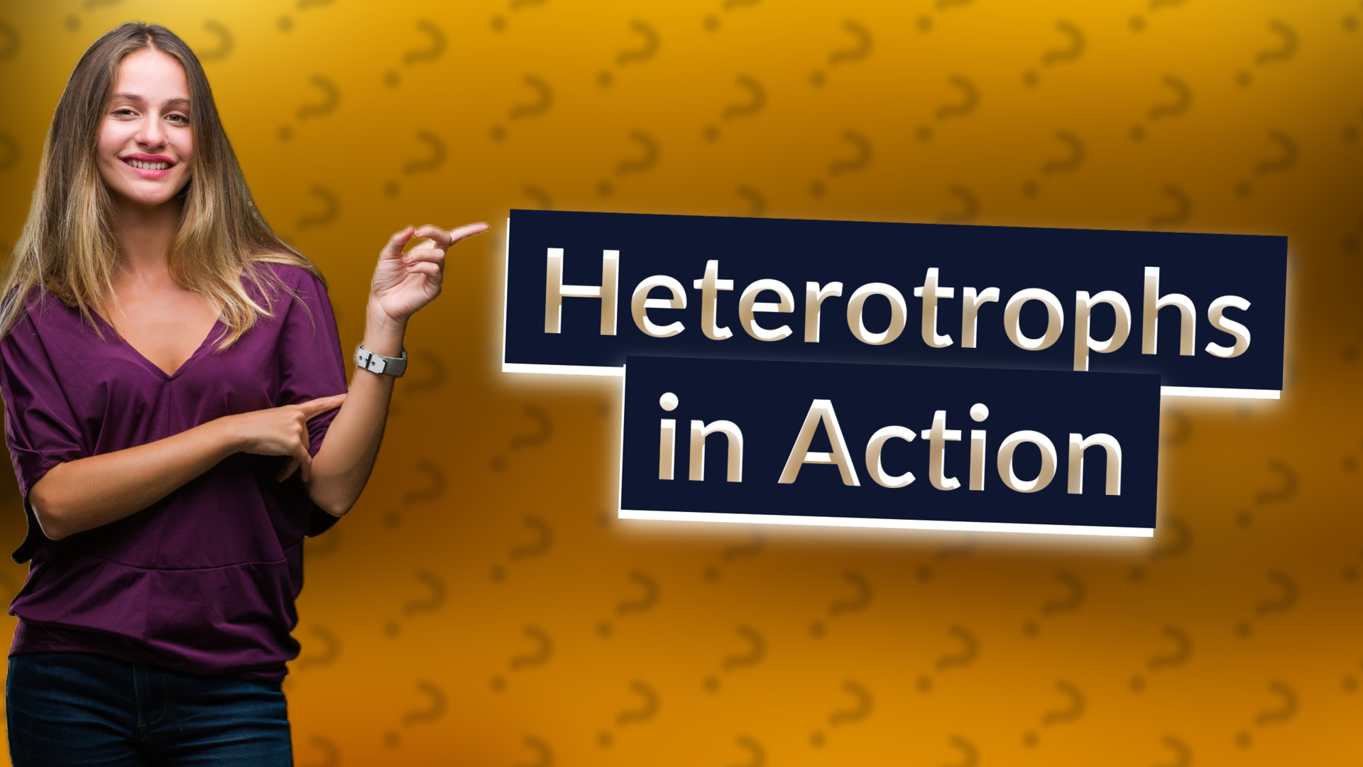 Heterotrophs in Action