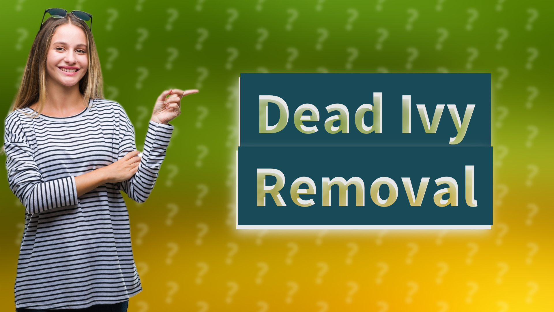 Dead Ivy Removal