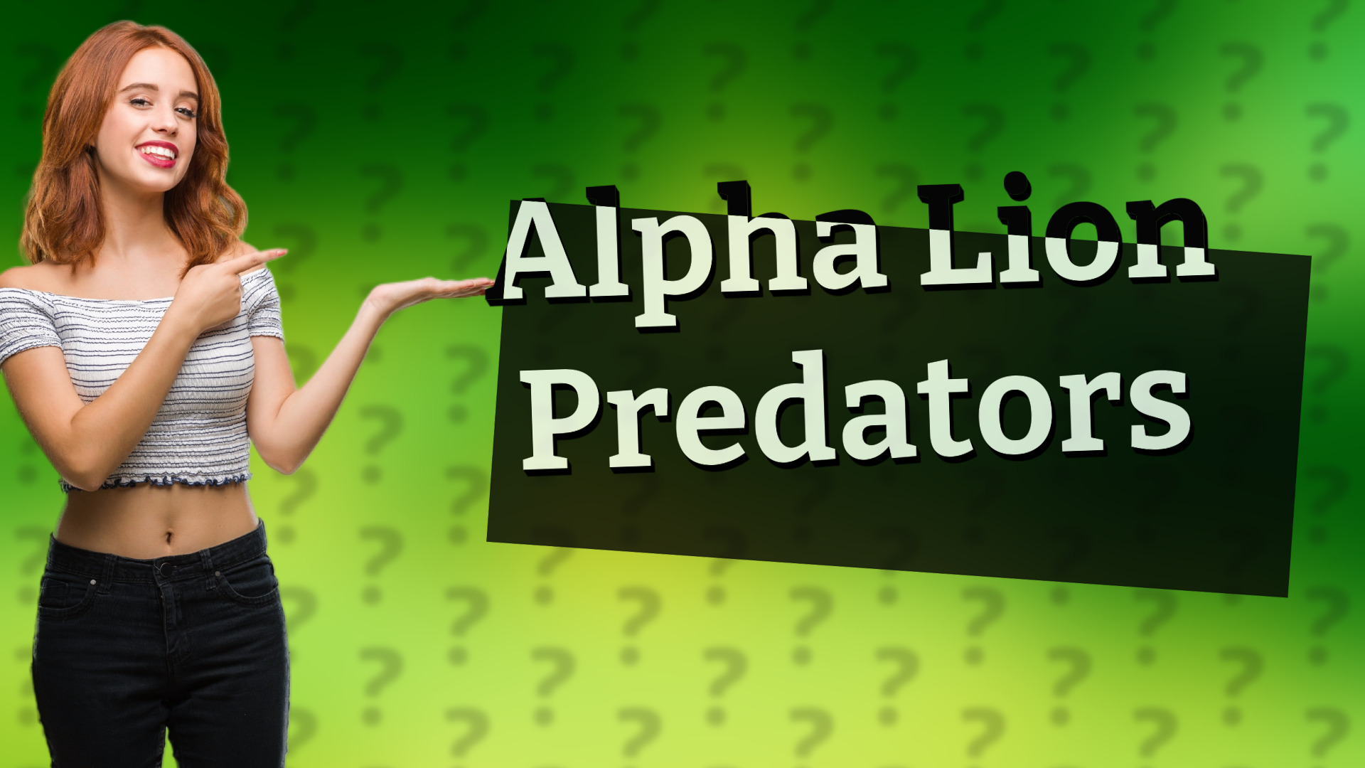Alpha Lion Predators