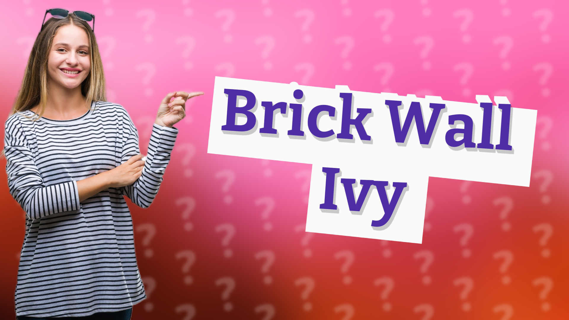 Brick Wall Ivy
