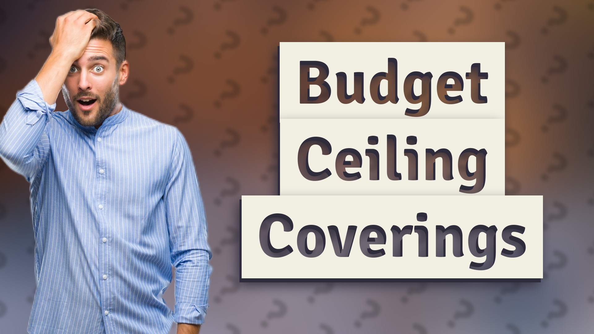 Budget Ceiling Coverings