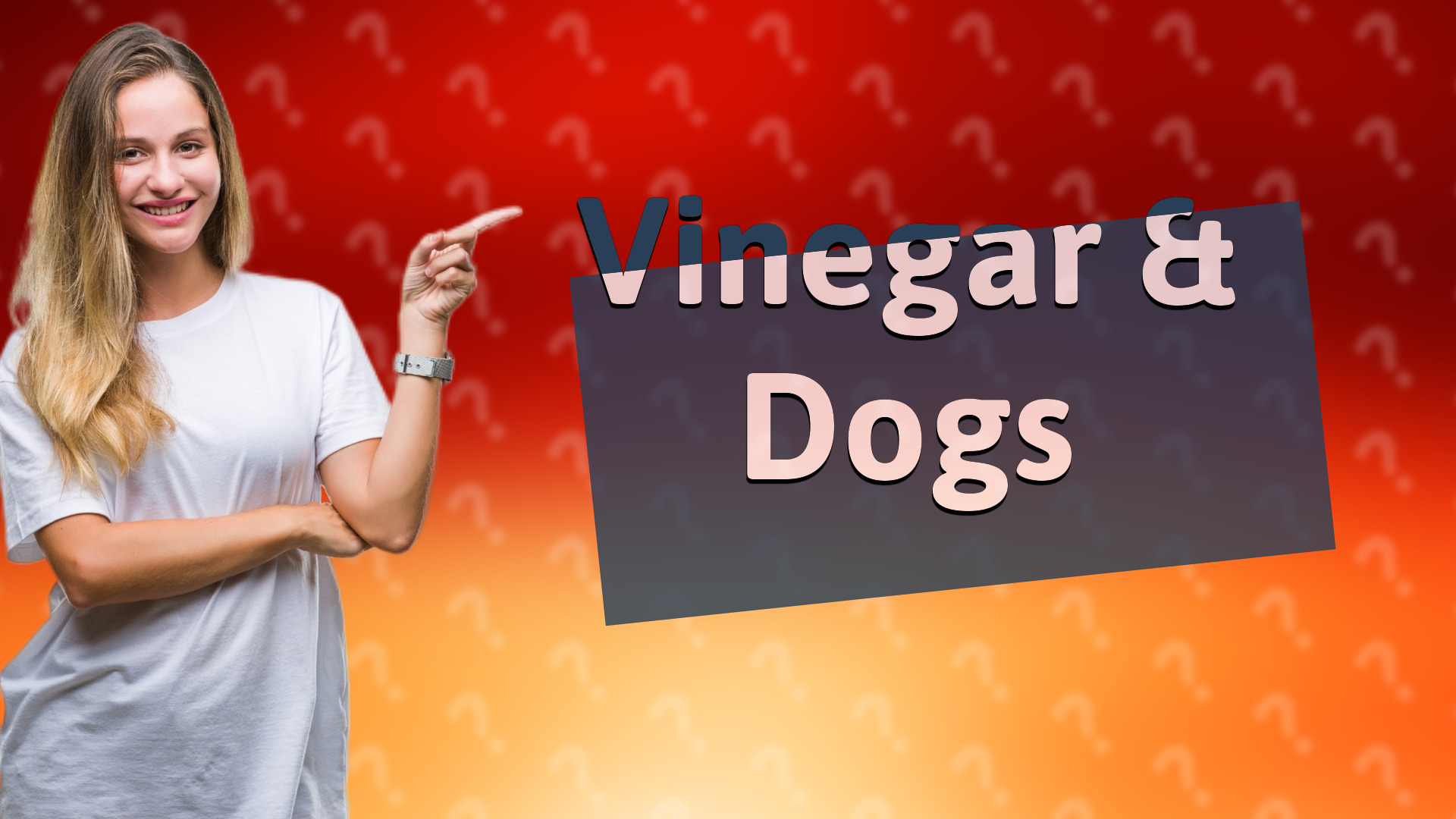 Vinegar & Dogs