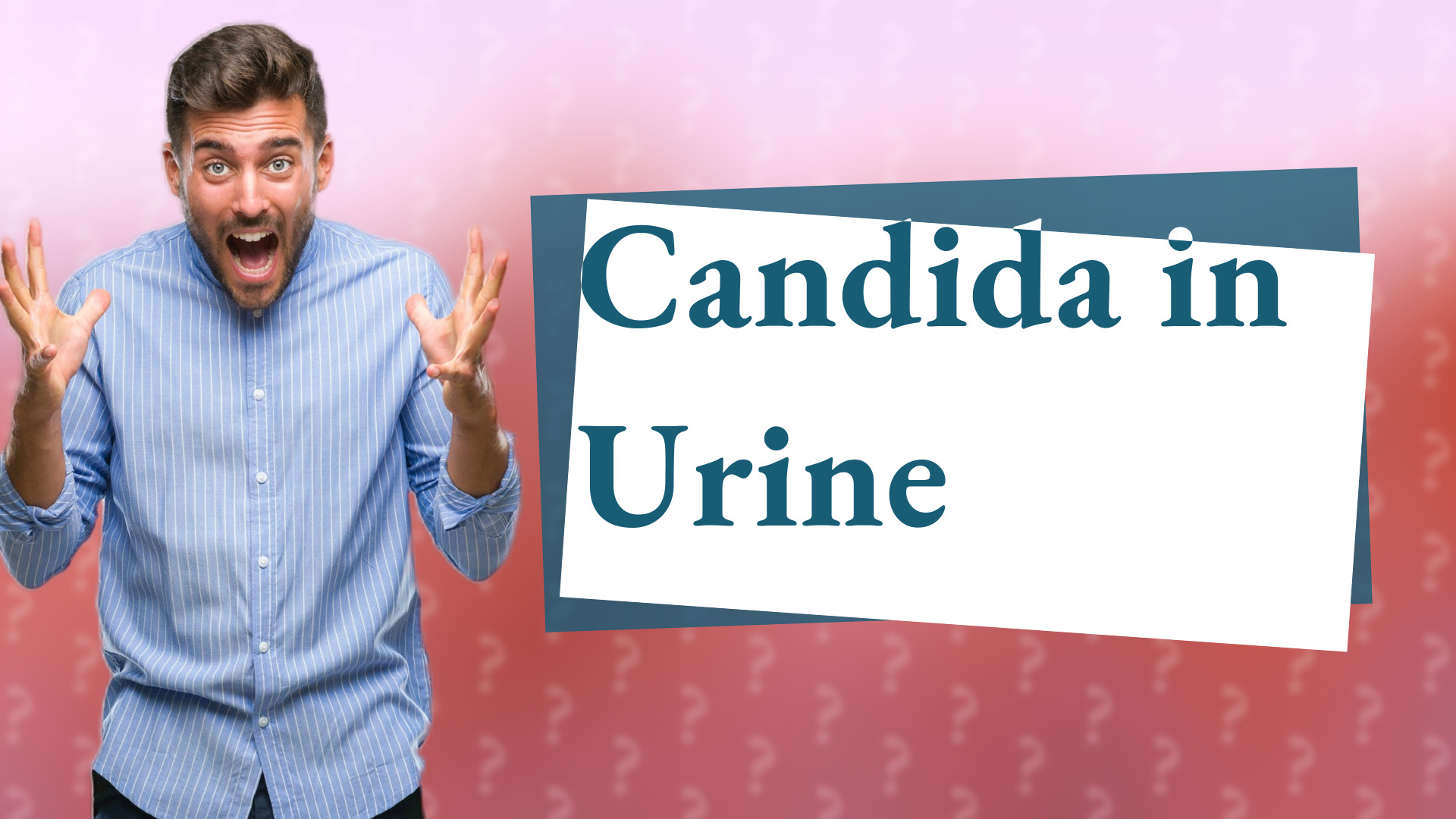 Candida in Urine