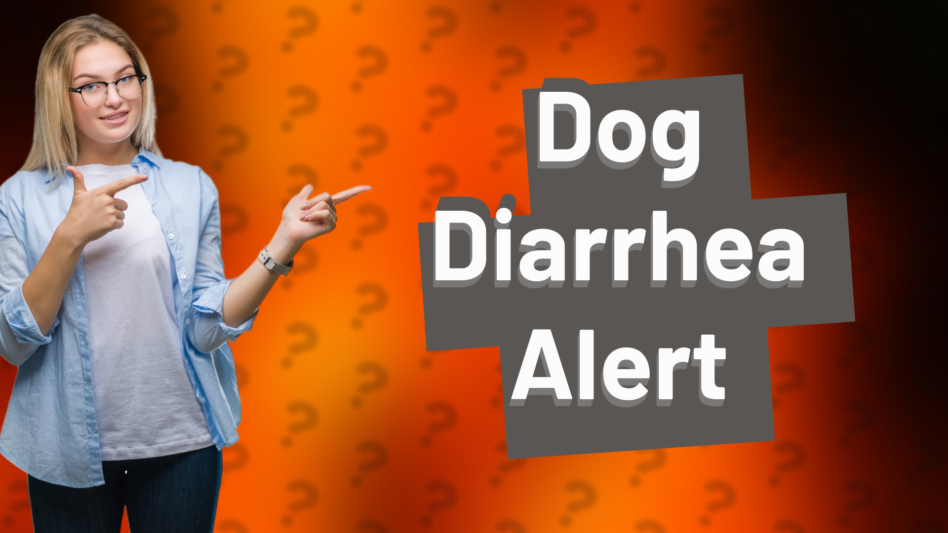 Dog Diarrhea Alert