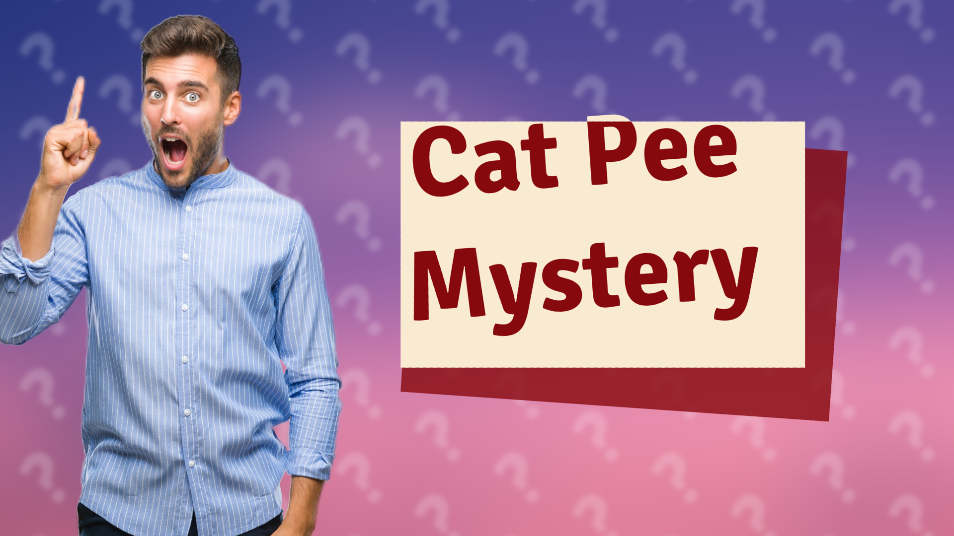 Cat Pee Mystery