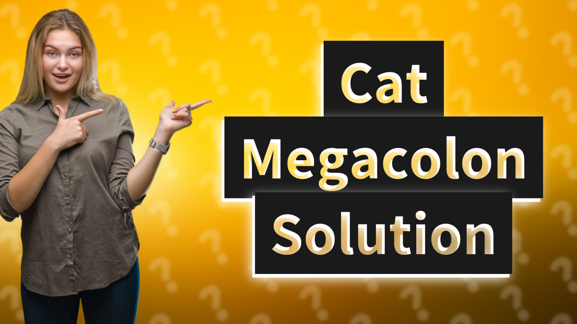 Cat Megacolon Solution