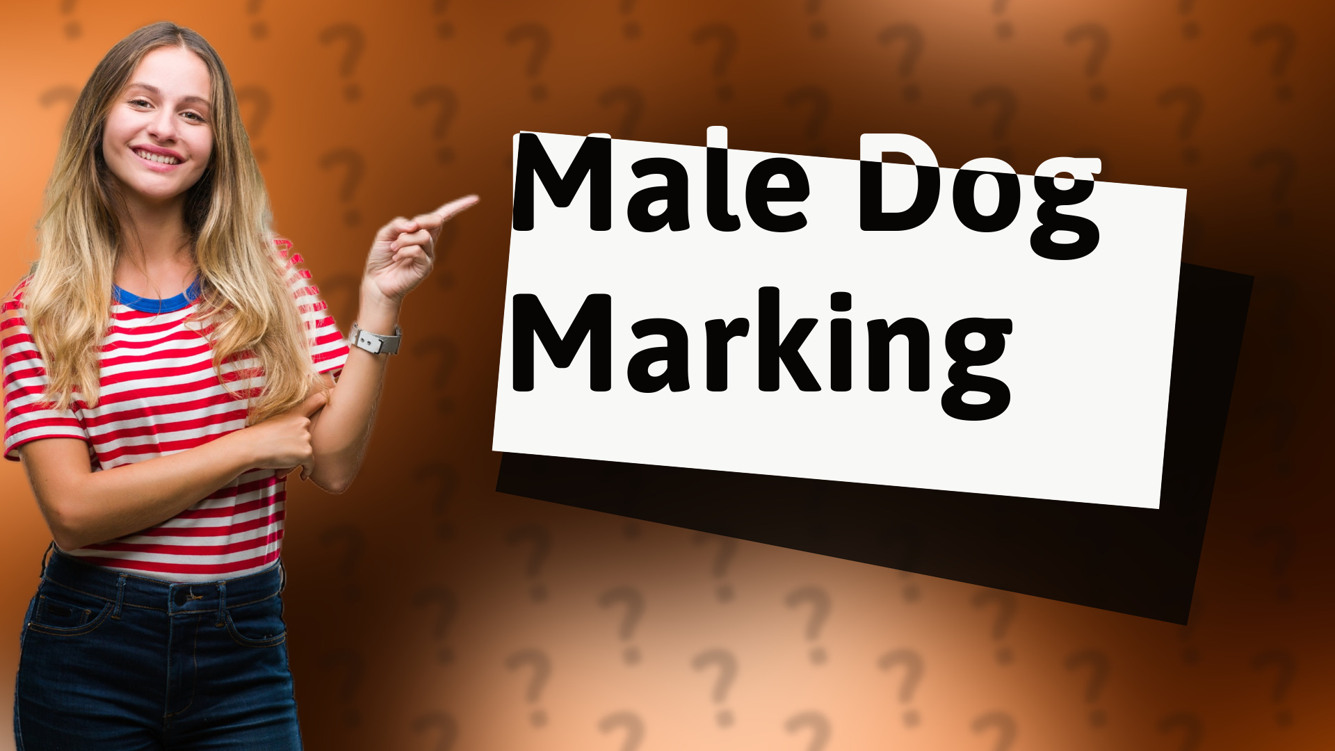 Male Dog Marking
