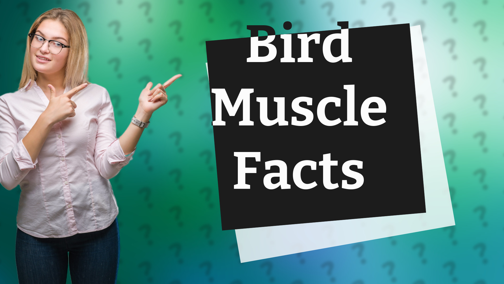 Bird Muscle Facts