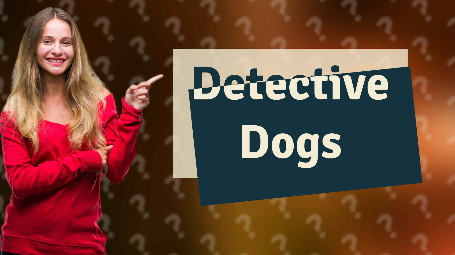 Detective Dogs