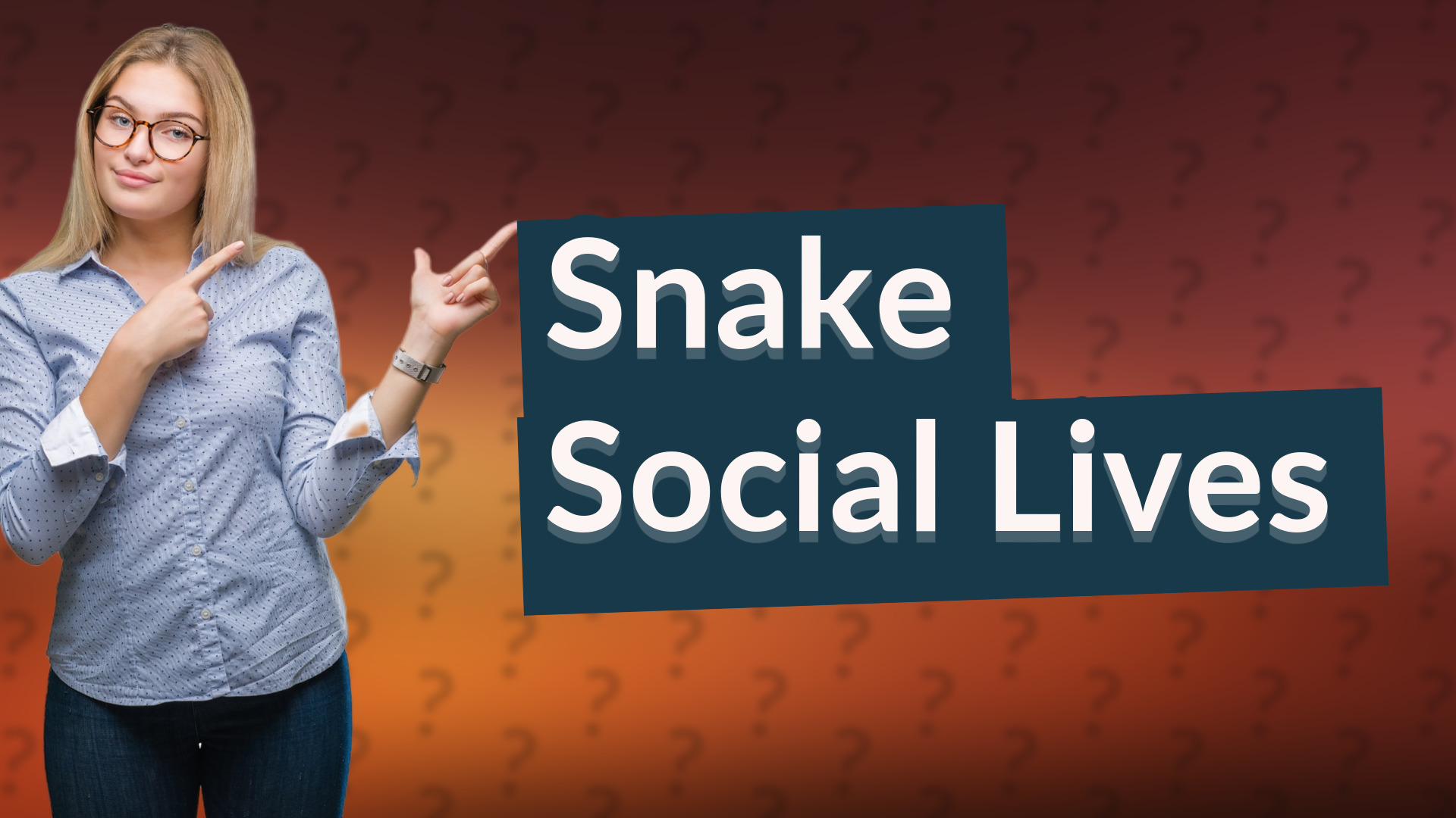 Snake Social Lives