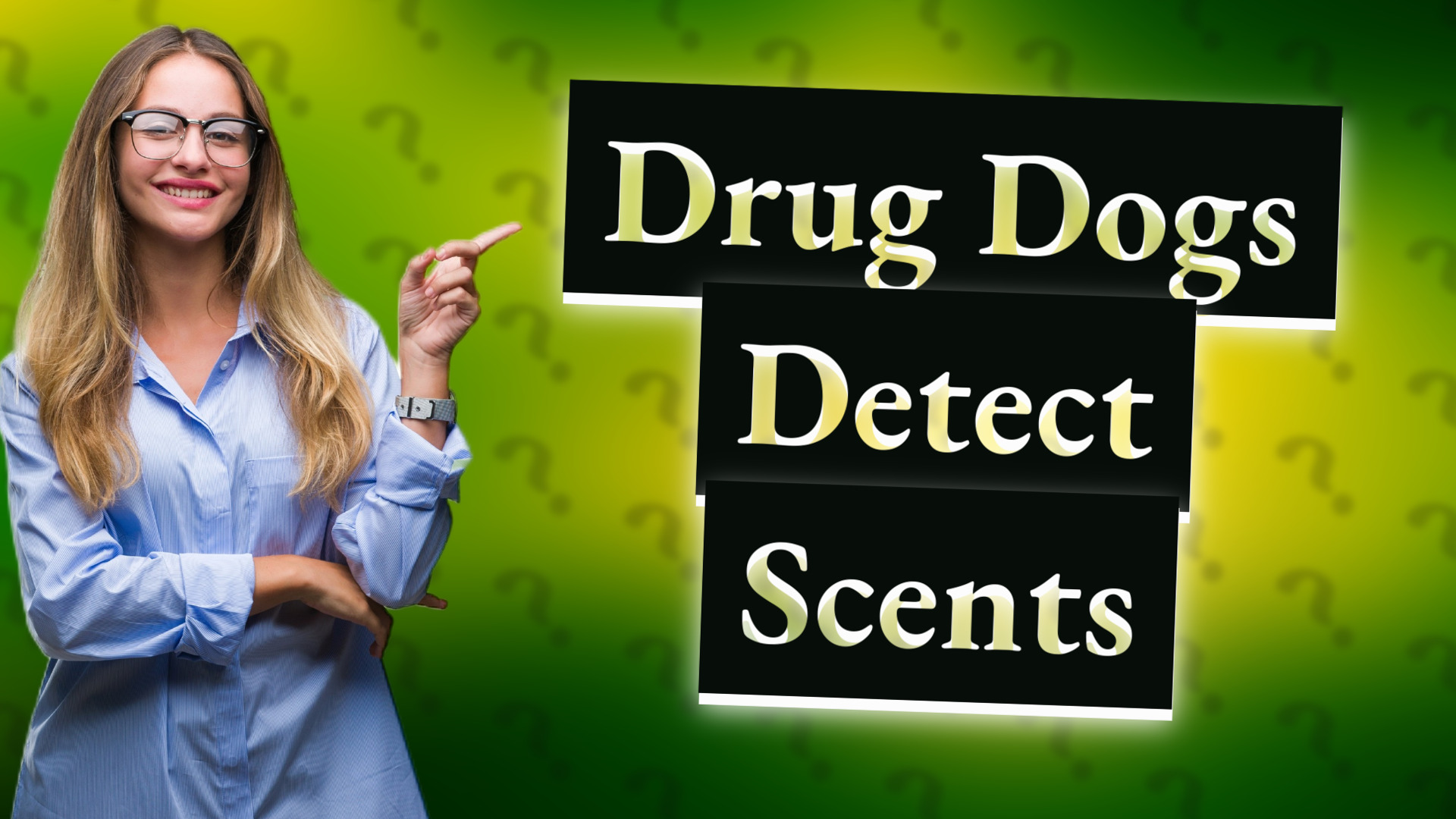 Drug Dogs Detect Scents