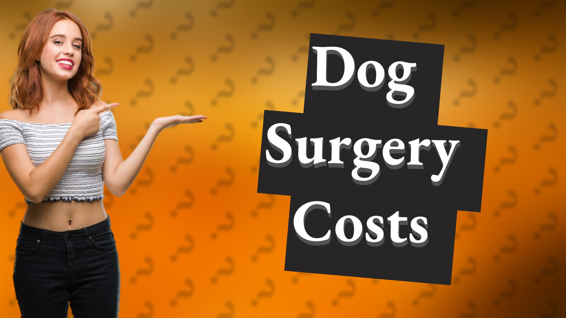 Dog Surgery Costs