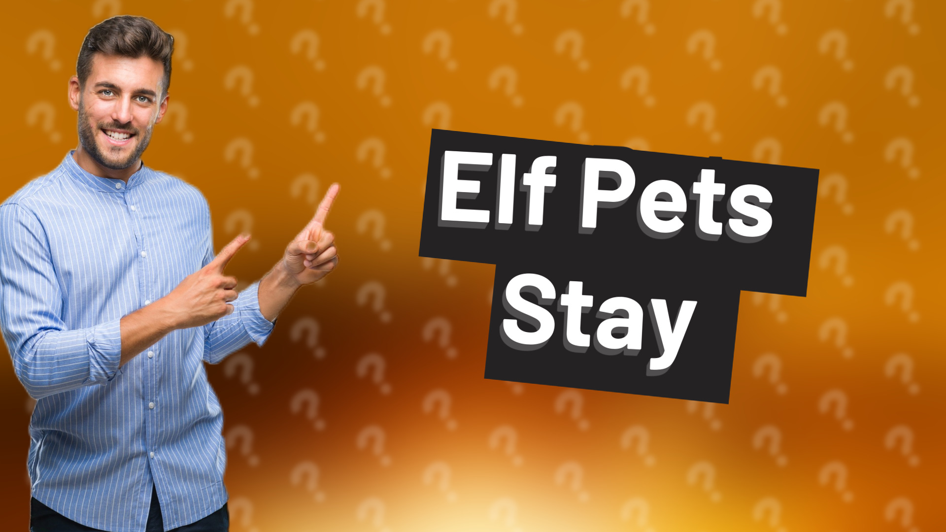 Elf Pets Stay