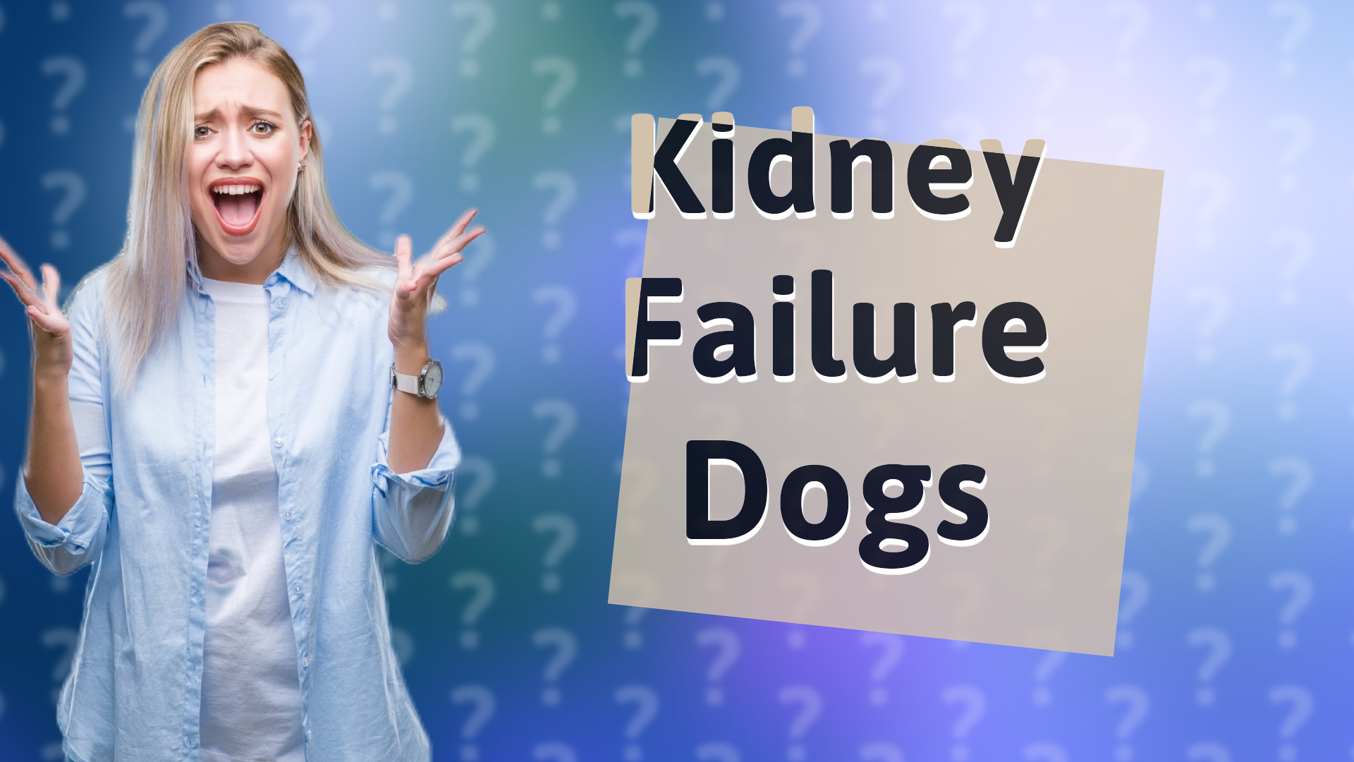 Kidney Failure Dogs