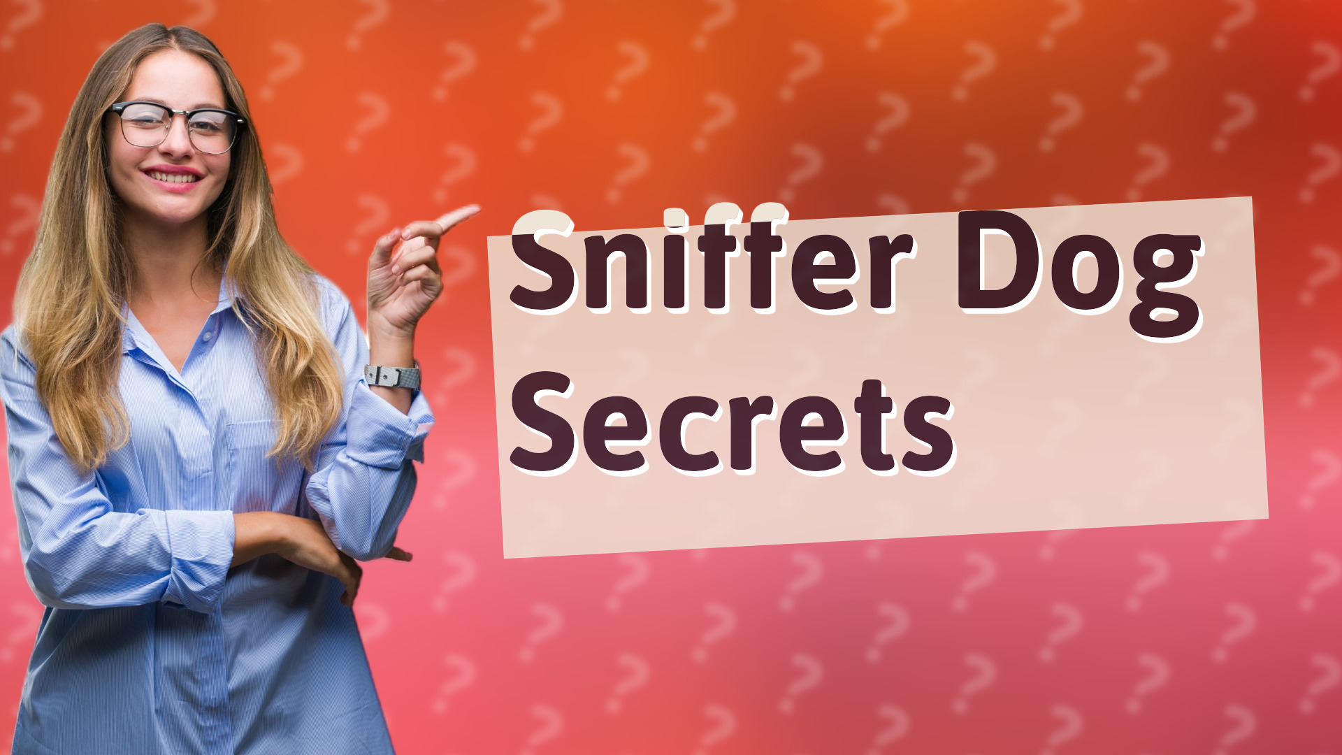 Sniffer Dog Secrets