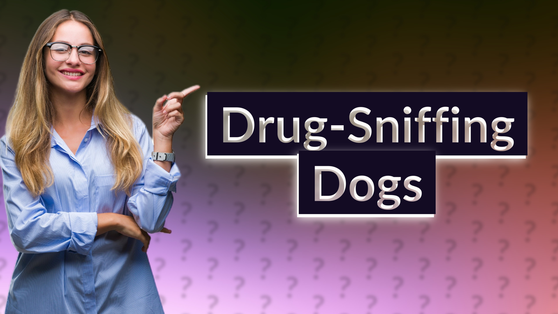 Drug-Sniffing Dogs